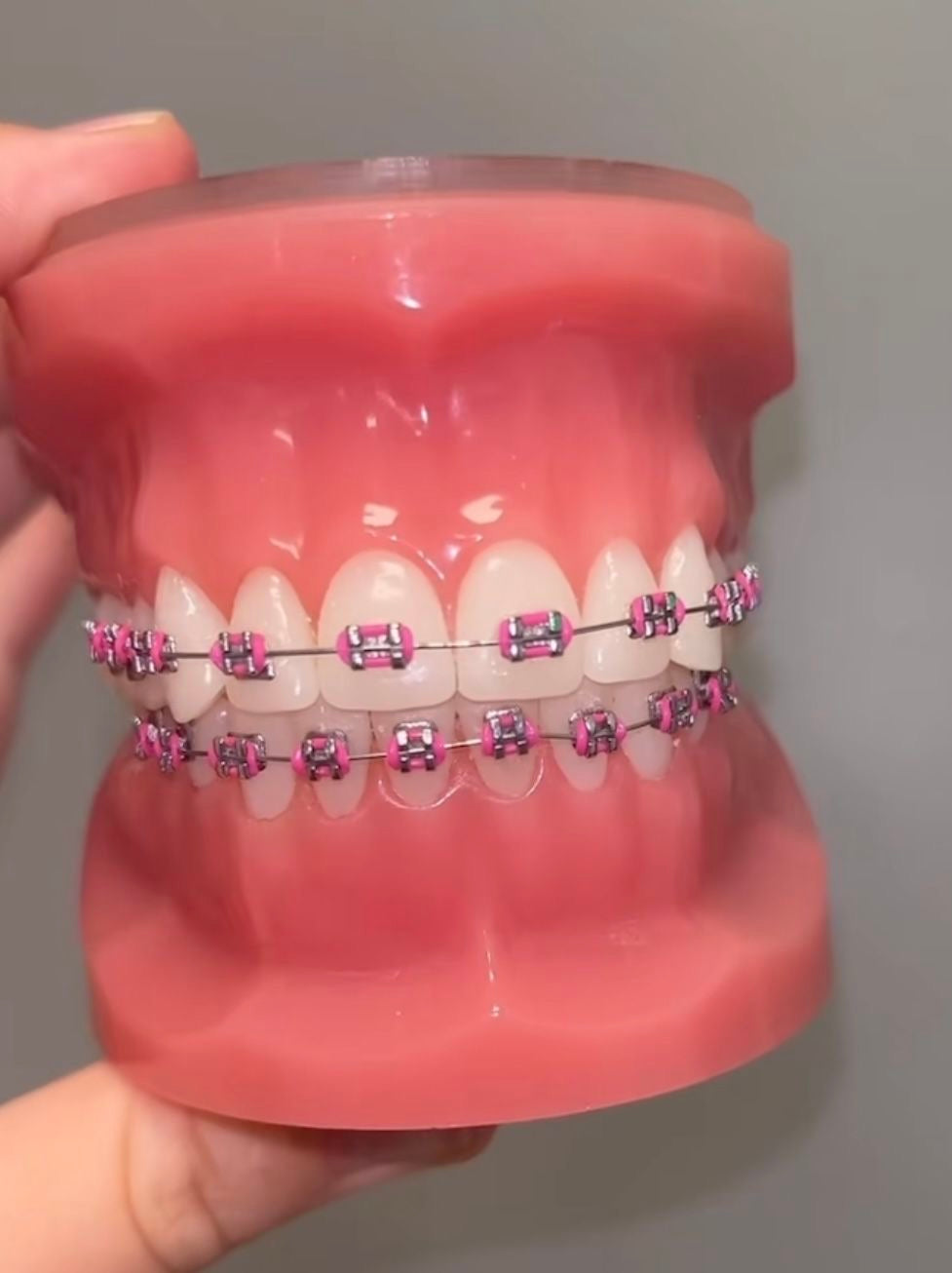 False teeth