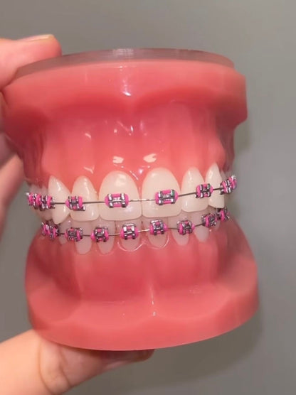 False teeth